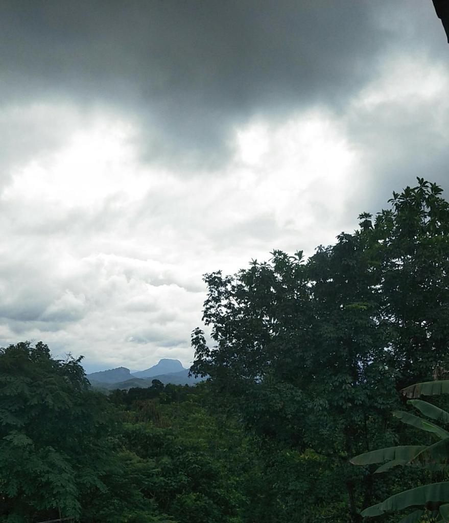 Nature's Nest Homestay photo 1