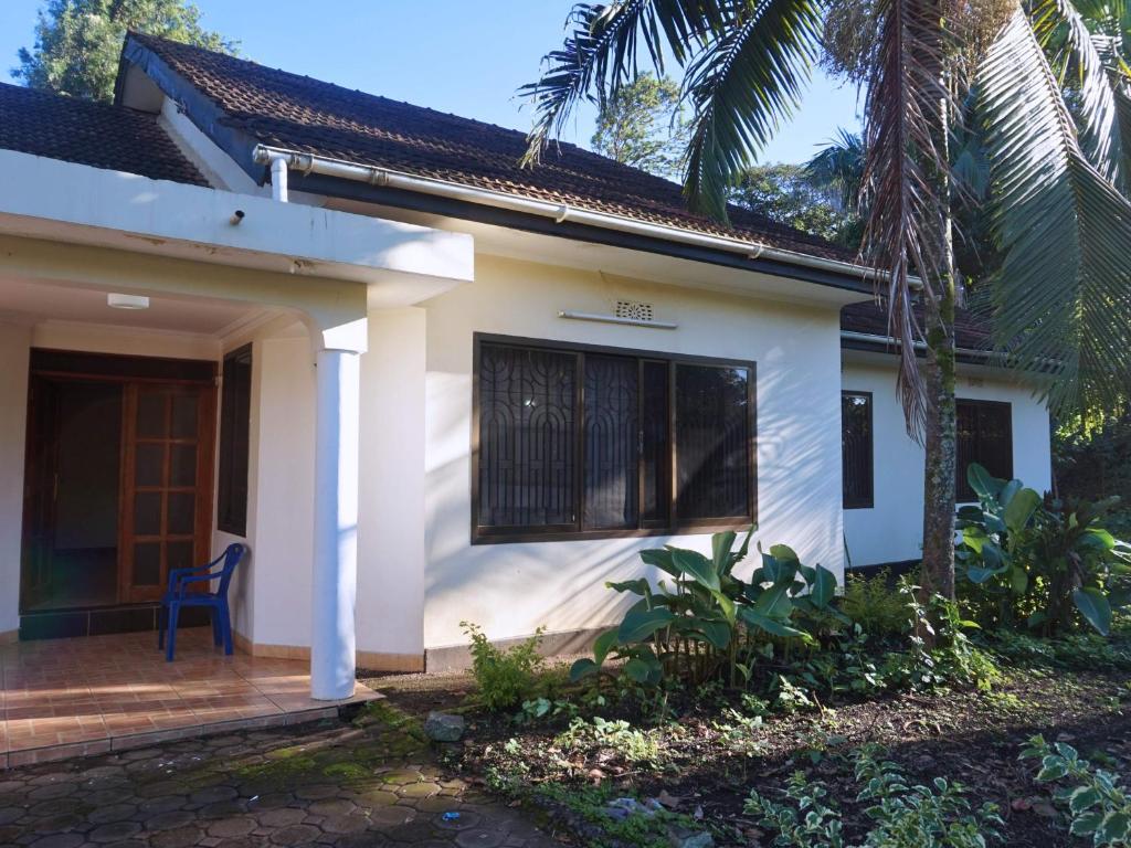 Nareto House photo 4