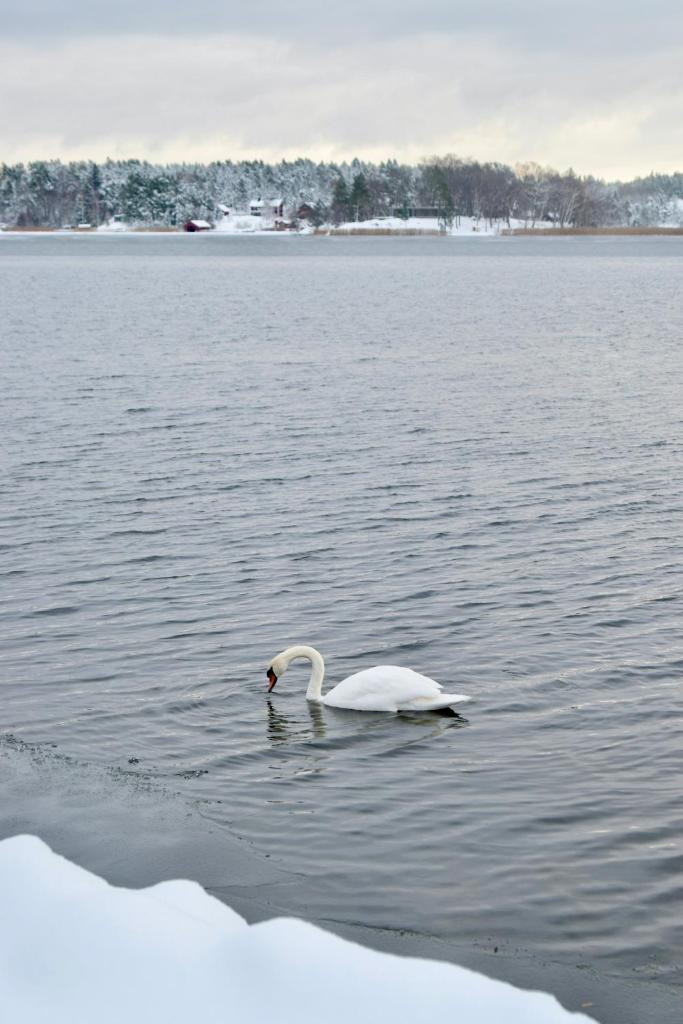 Sjöstuga/gästhus i skärgården. photo 4