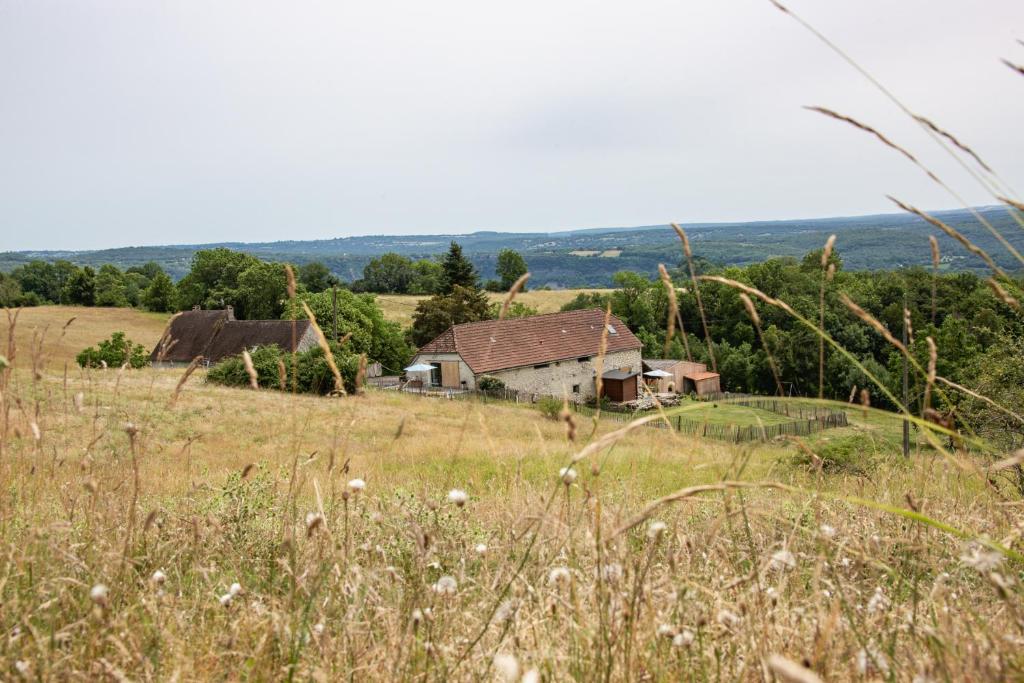 Les Hauts de Bagadou photo 3