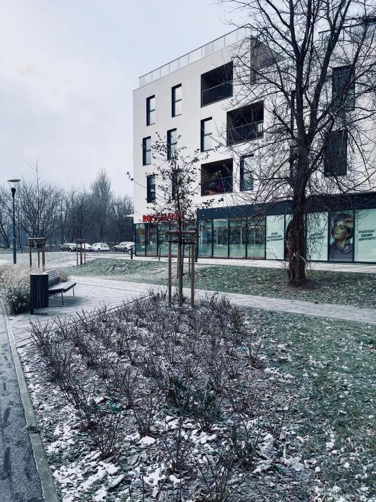 Tuyo Apartments Bokserska photo 3