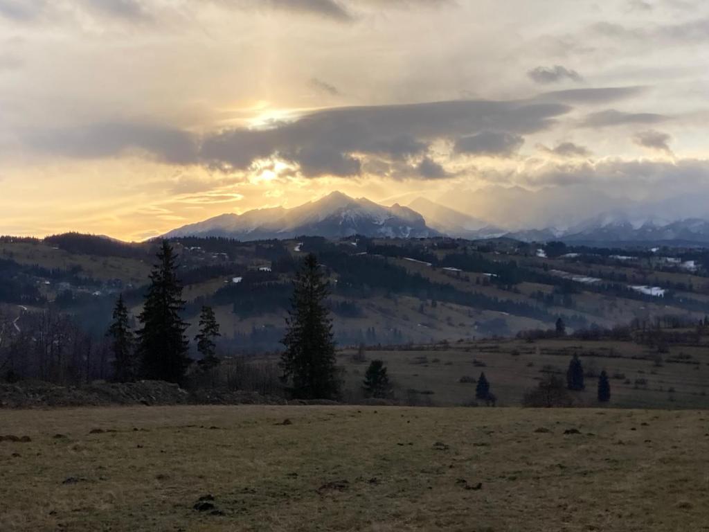 Domki u Krużla photo 3