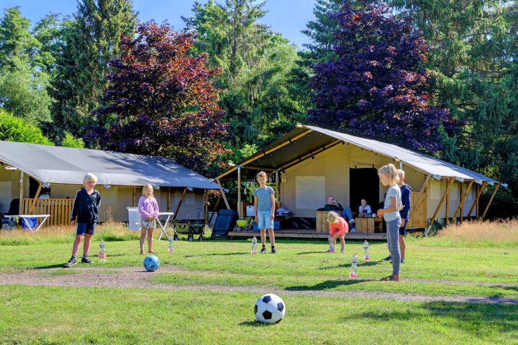Camping Lotje photo 2