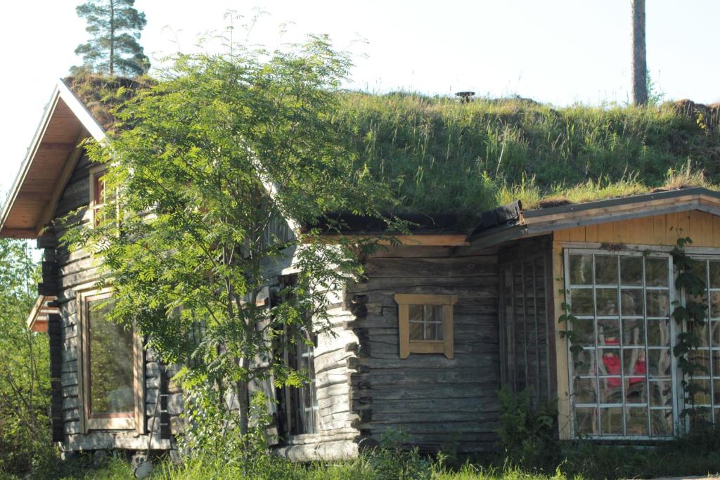 Valonranta Cottage photo 3