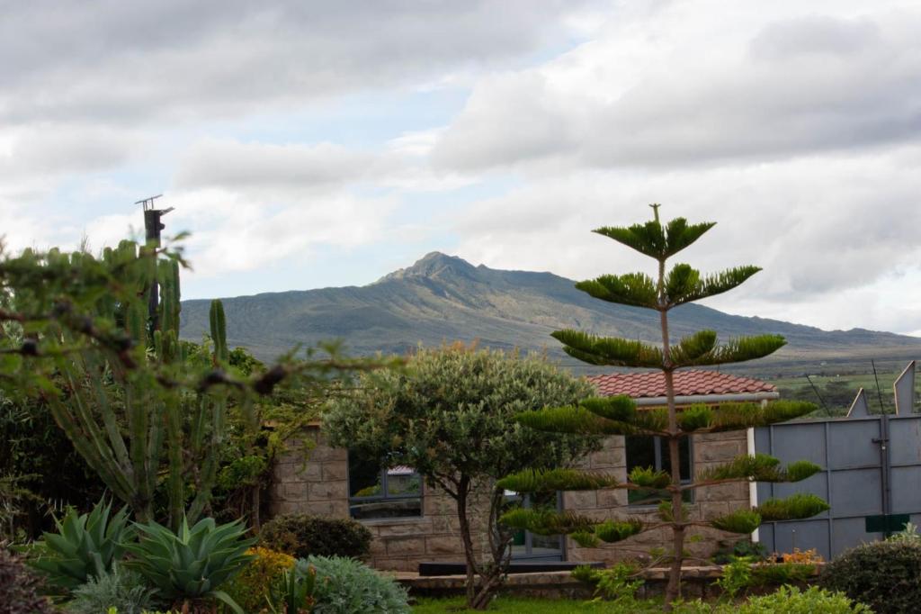 Elwai Centre Campsite photo 4