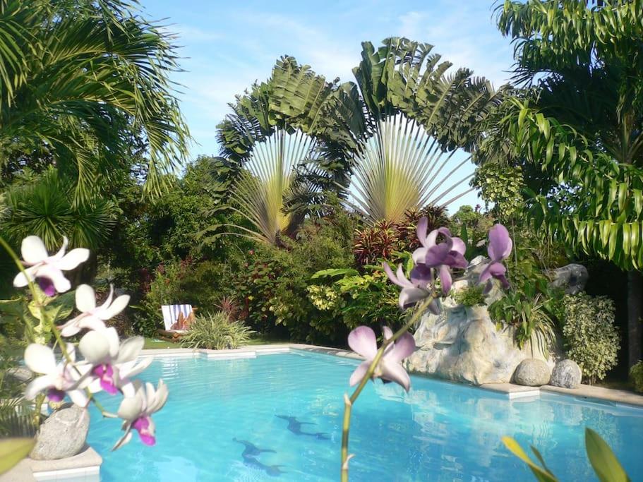 Palmhill Villa photo 4