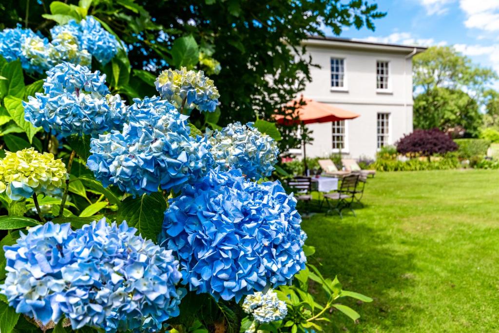 Luxury country mansion in West Cork photo 4