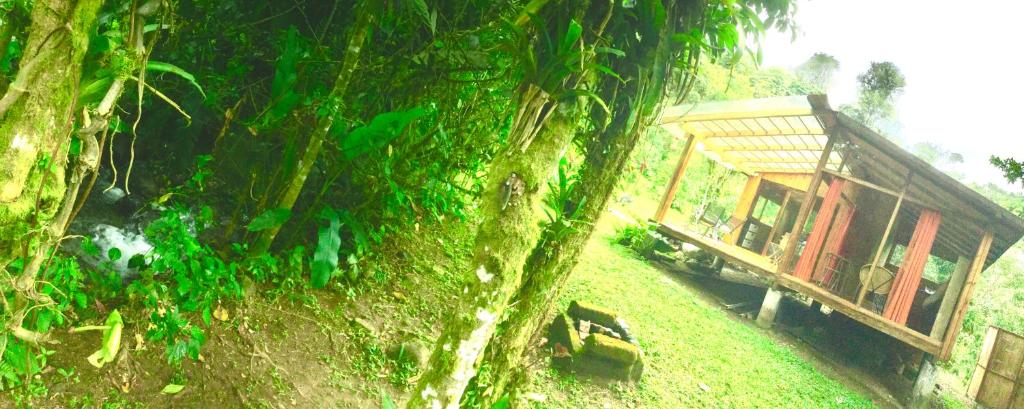 Mindo Eco Suite con Rio y Cascada photo 2