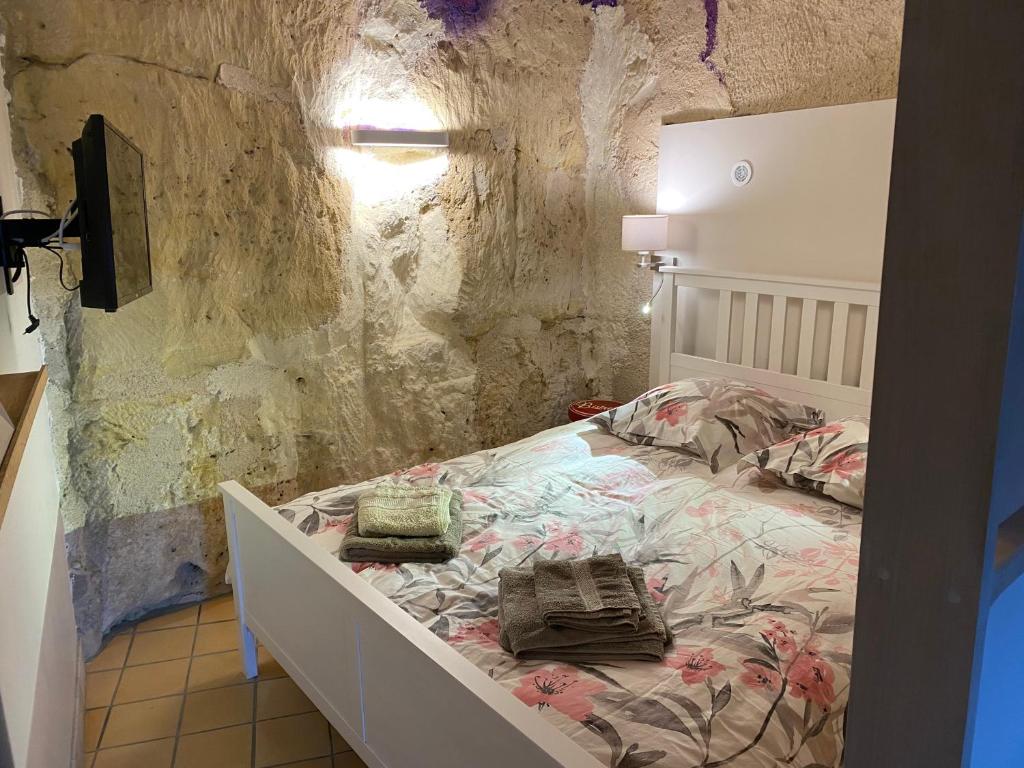 Gîte de charme 8 personnes centre Azay le Rideau photo 3