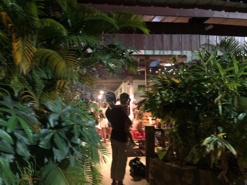 Macondo photo 2