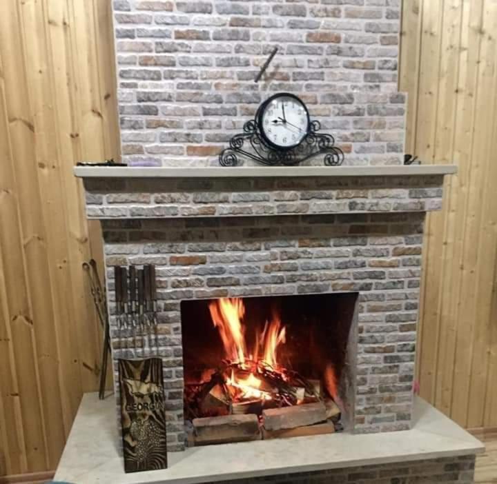 Cottage in Bakuriani / კოტეჯი ბაკურიანში