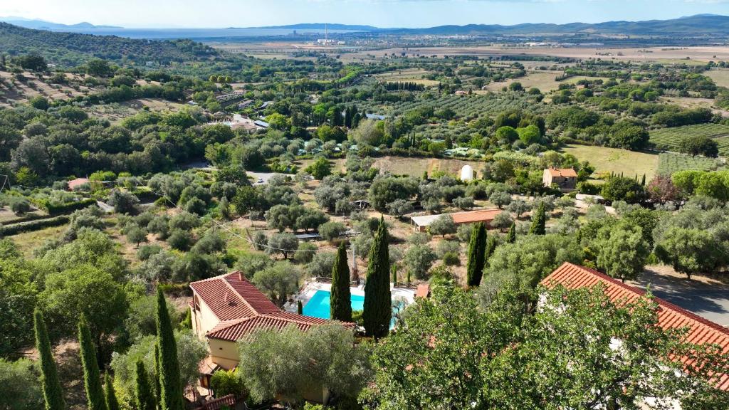 Madonna del Poggio B&B photo 3