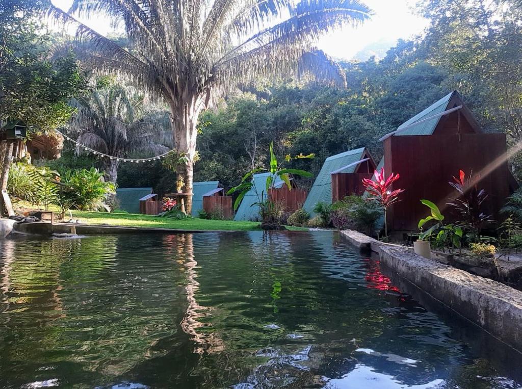 Sierra Jungla photo 3