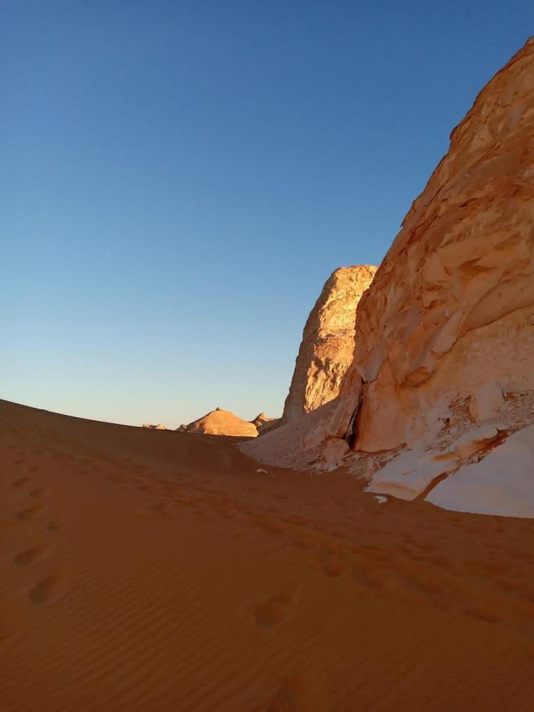 safari desert photo 4