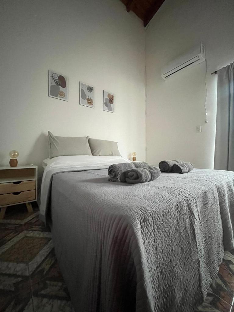Apartamento Mara - 150m de Termas photo 3
