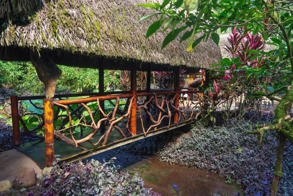 Magia Verde Lodge photo 3