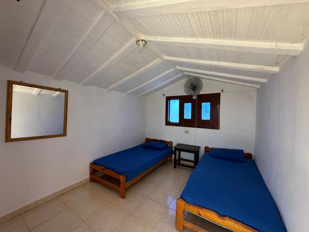 Seven Heaven Hotel And Diving Center photo 3