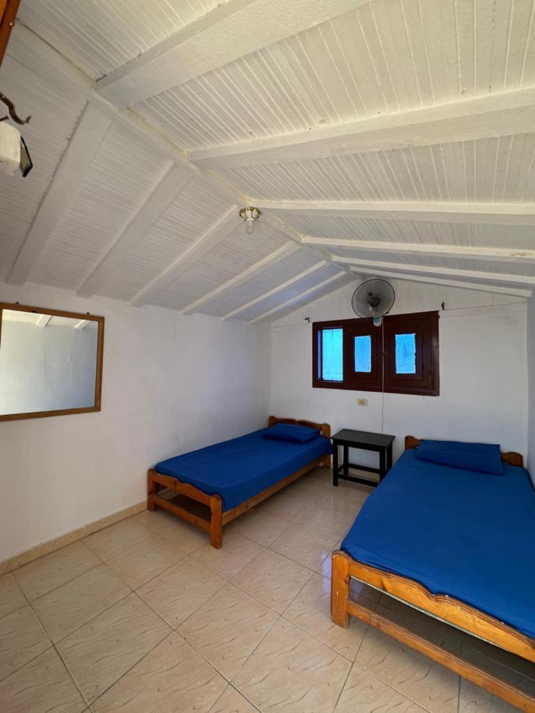 Seven Heaven Hotel And Diving Center photo 4