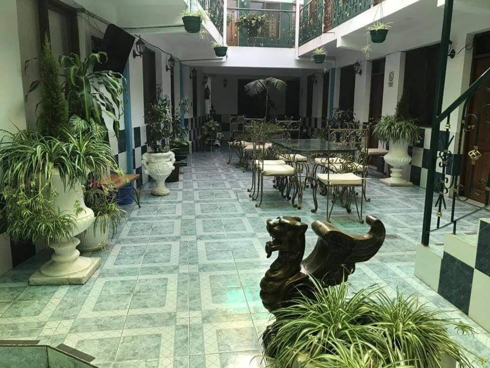 HOSTAL FAMILIAR FG photo 3