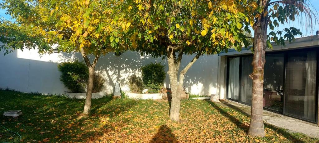 Tatitos Homes El Pinar - Apartamento vacacional - photo 1