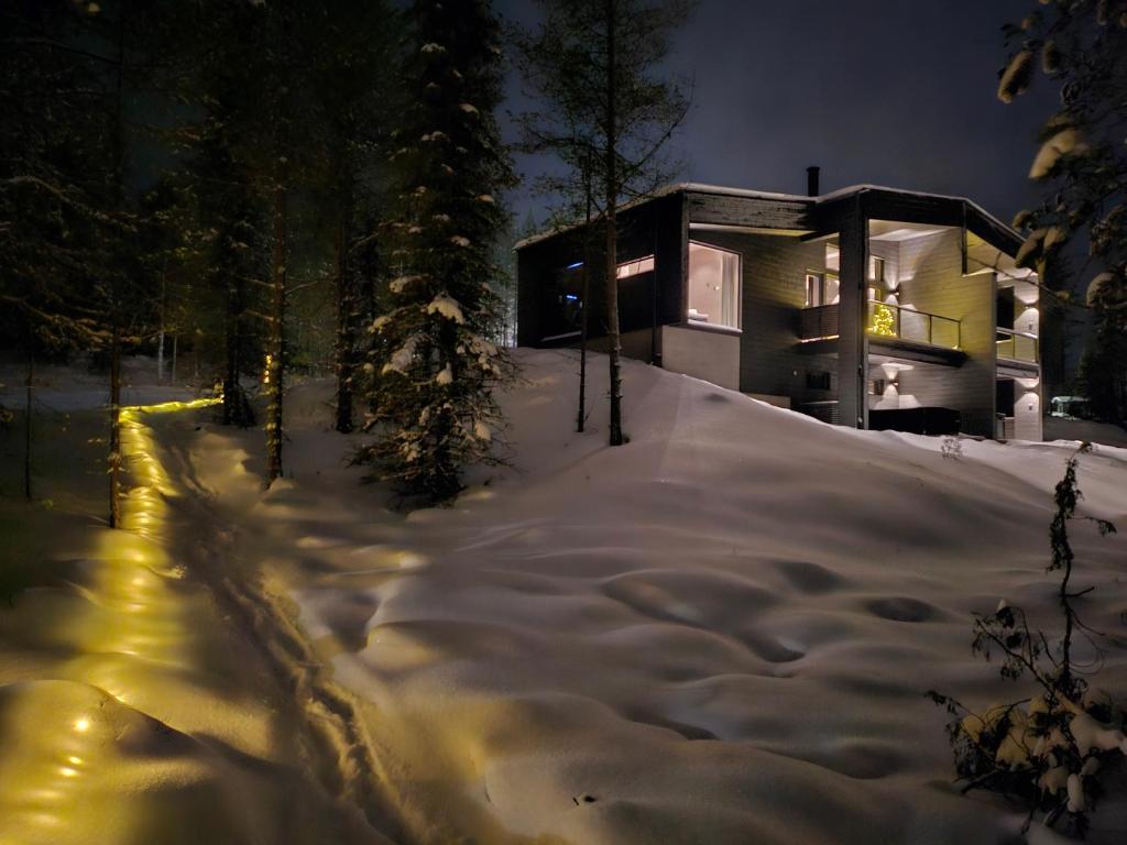 Villa Kanger Ruka photo 1