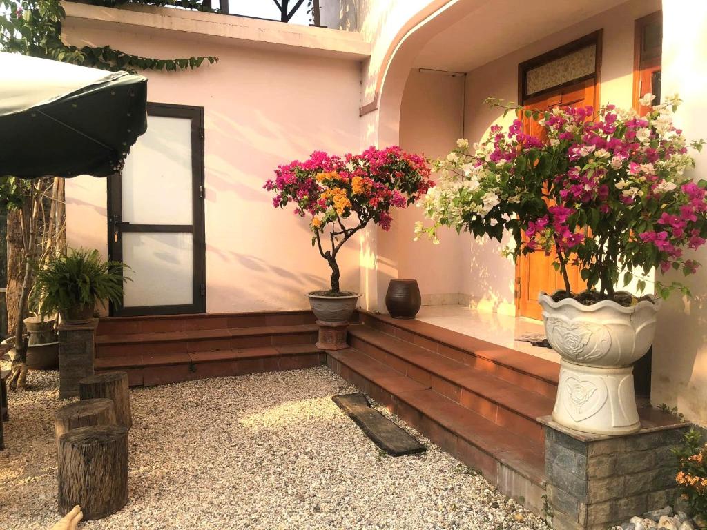 Gia Bảo Homestay - Cao Bằng