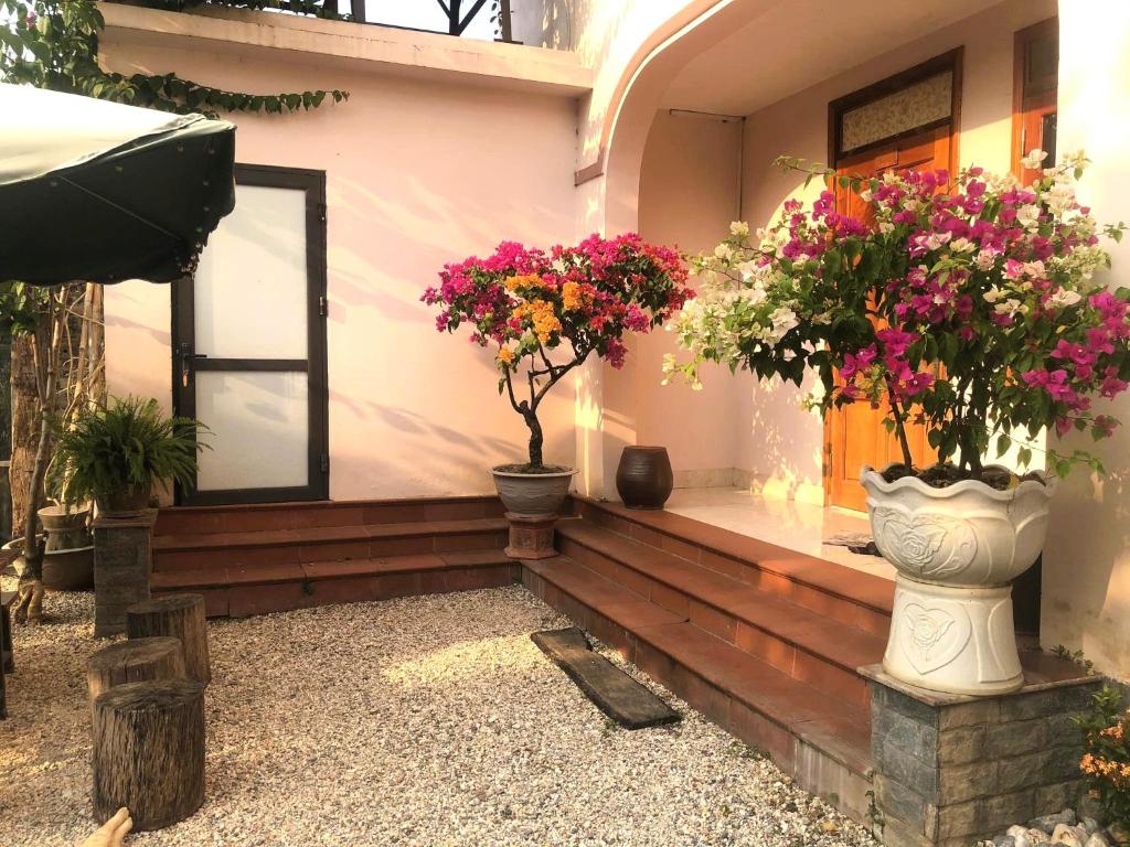 Gia Bảo Homestay