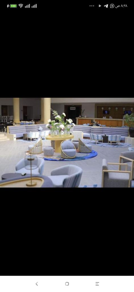 jaz sharm dreams sharm el sheikh photo 4
