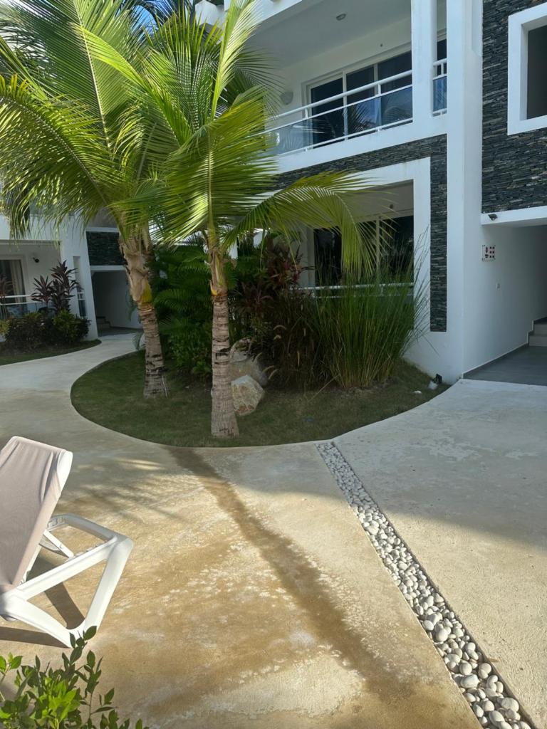 Sunny garden photo 1