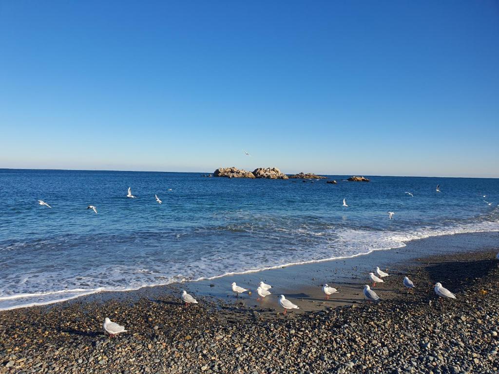 Ilsan Beach Daewangam Park Property photo 1
