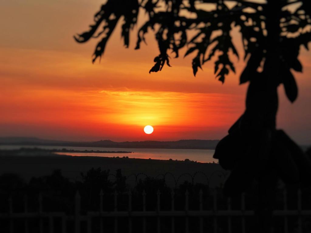 Carpe Diem Guesthouse photo 2