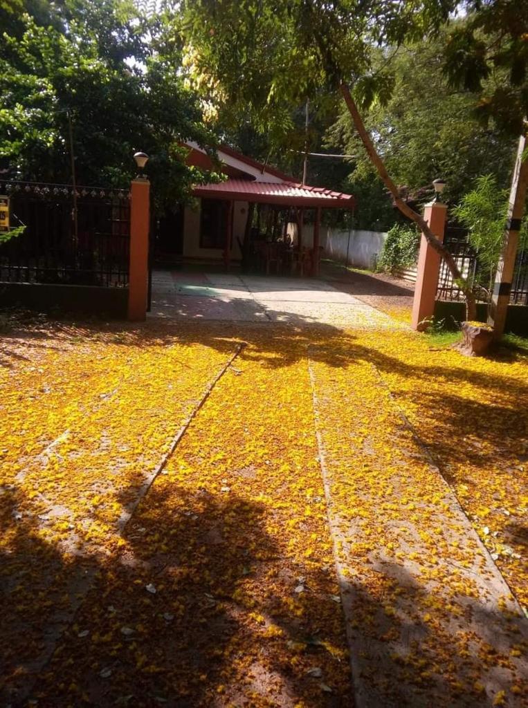 Kawanthissapura Resort