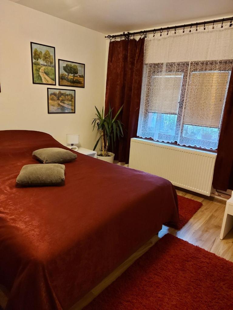 Apartment Skiptar photo 1
