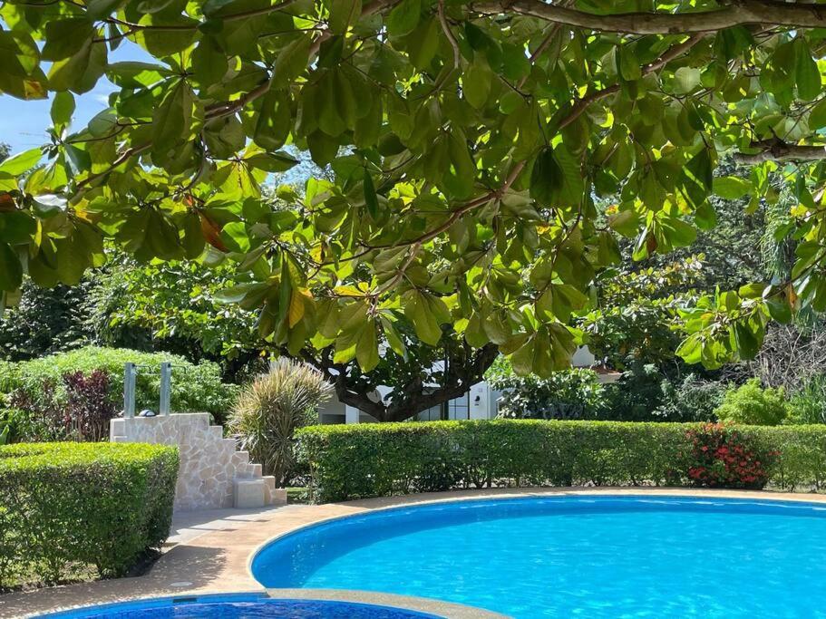 Villa Hermosa photo 1