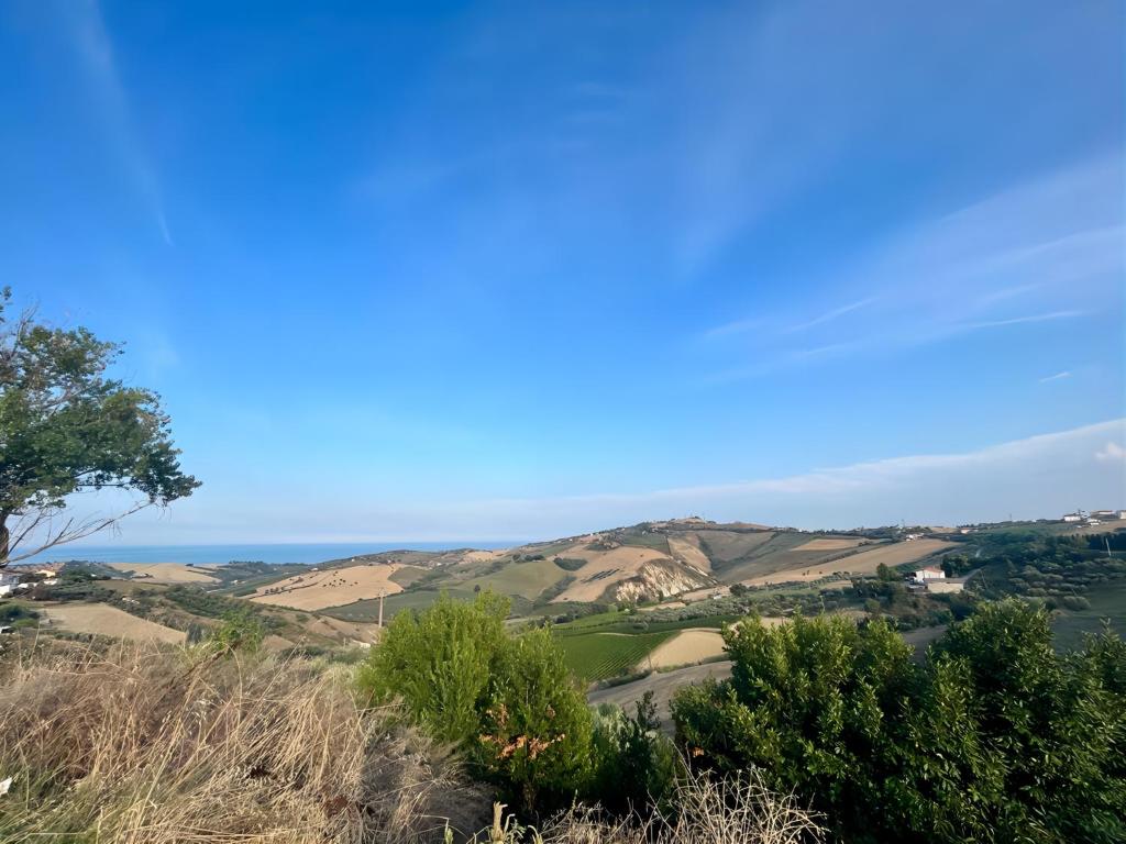 Roseto in collina photo 4