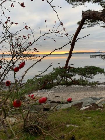 Villa Särö photo 1