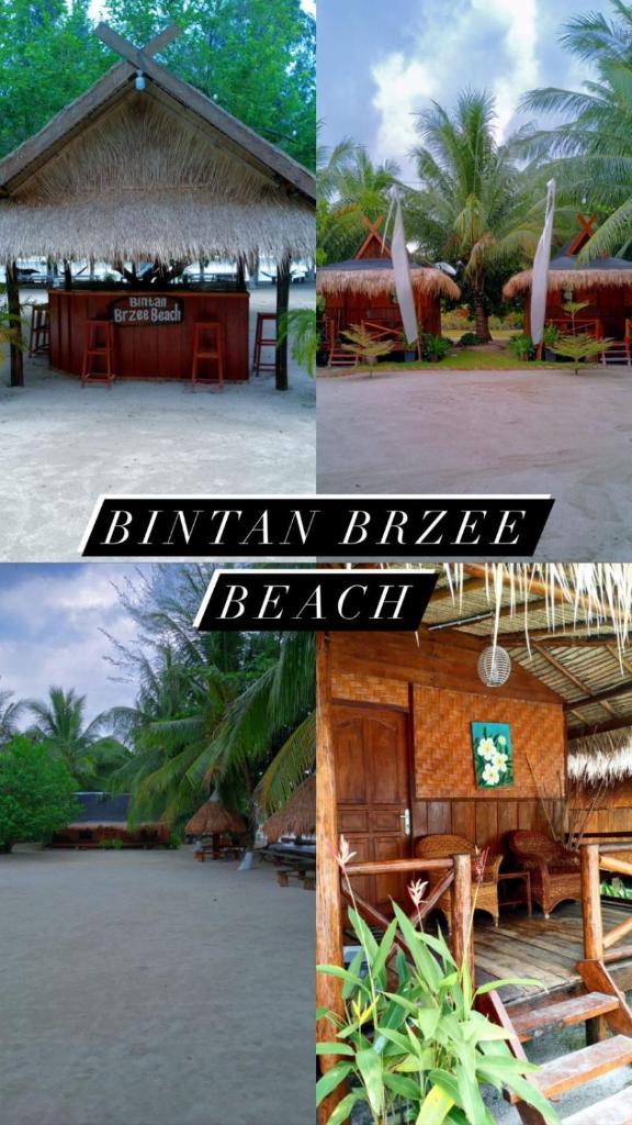 Bintan Brzee Beach in Bintan Island - Bungalow 4