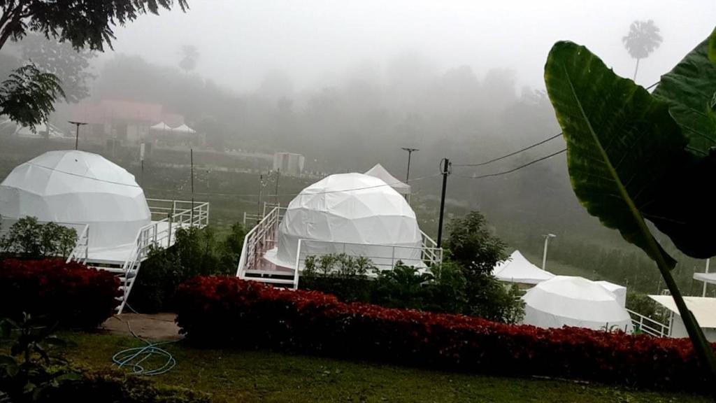 Elizabeth Camping at Khaokho ( เอลิซาเบ็ธ แคมป์ปิ้ง แอท เขาค้อ) photo 2