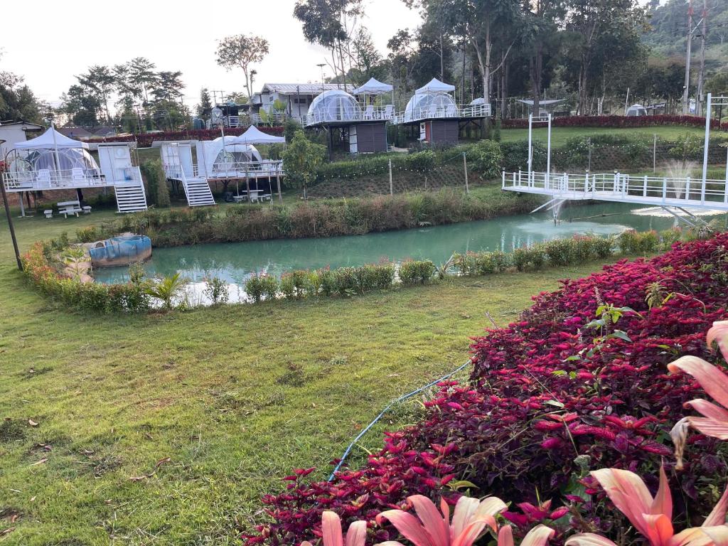 Elizabeth Camping at Khaokho ( เอลิซาเบ็ธ แคมป์ปิ้ง แอท เขาค้อ) photo 4