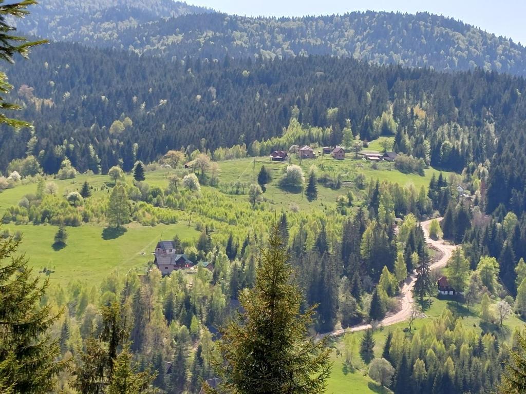 Seosko turističko domaćinstvo Bojovići (Vila Mica) photo 2