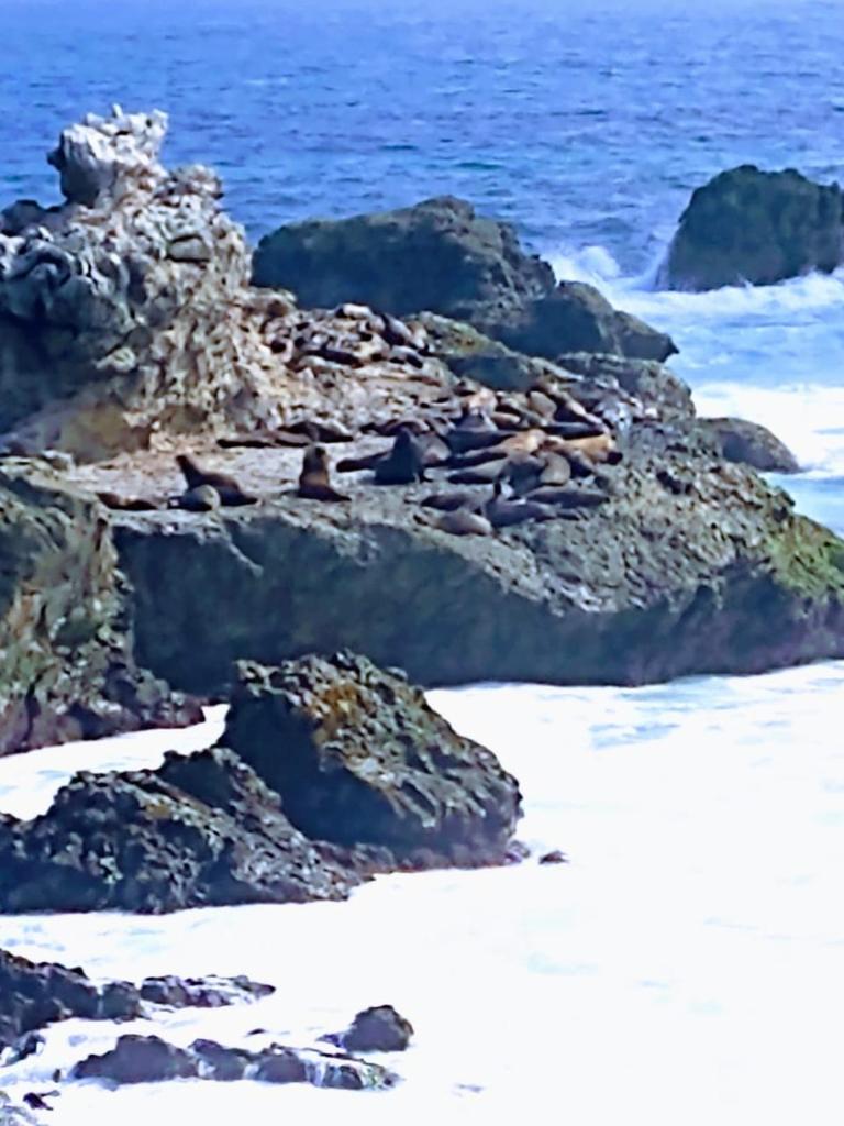 Villa San martini photo 1