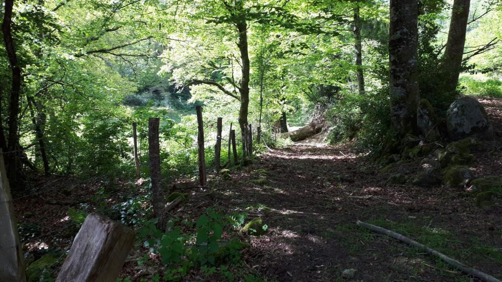 Belle Longere de 10 couchages - lac de vassiviere photo 3