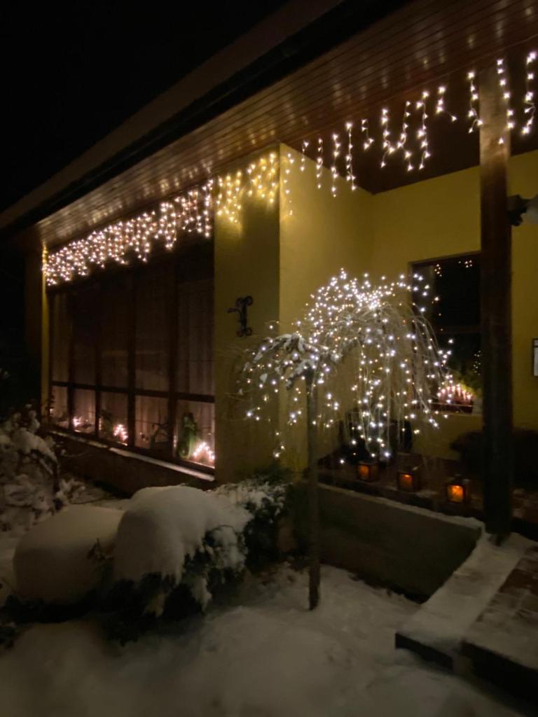 Greenland Apartments photo 2