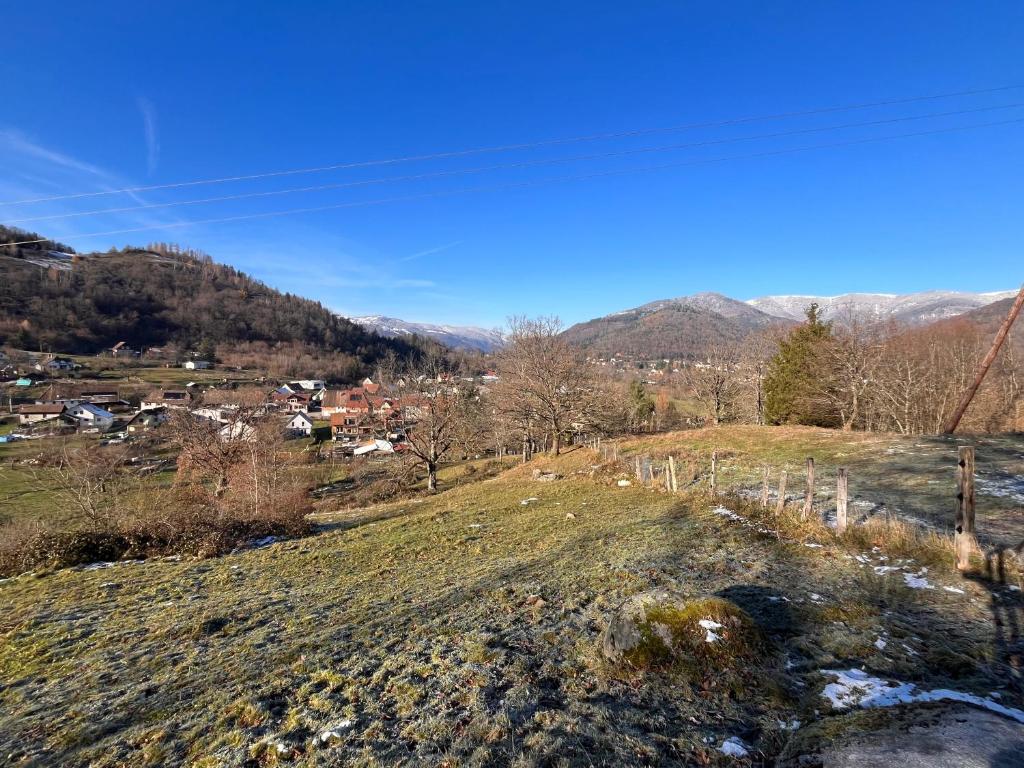 Appartement à Mitzach photo 3