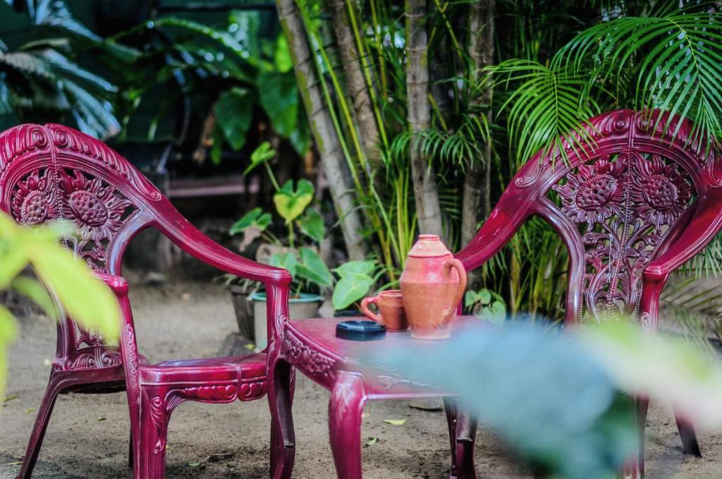 Green Grass Homestay photo 1
