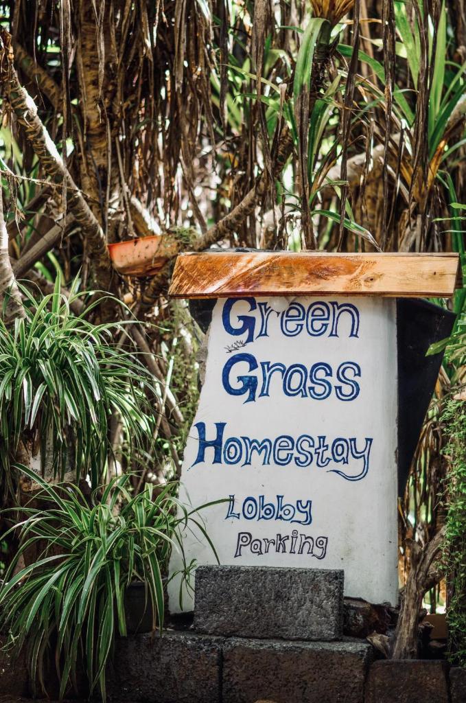 Green Grass Homestay photo 3