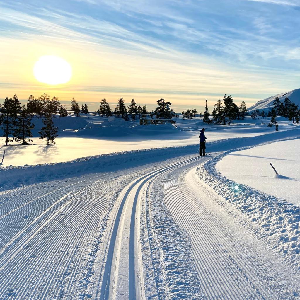 Vrådal Panorama photo 3