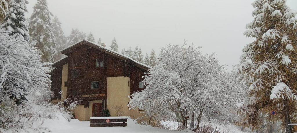 Chalet les arolles photo 2