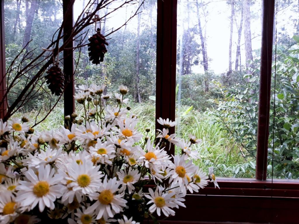 ONA HOME - Entire Hue-styled garden house nearby a pine hill