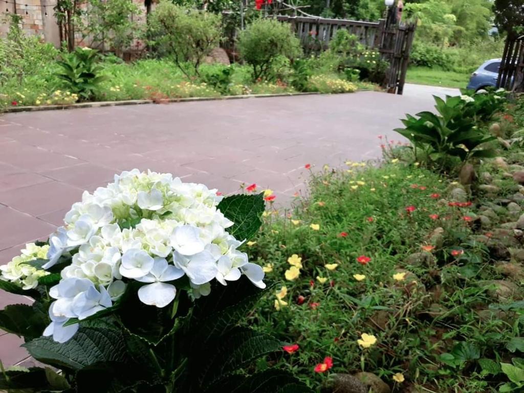 ONA HOME - Entire Hue-styled garden house nearby a pine hill